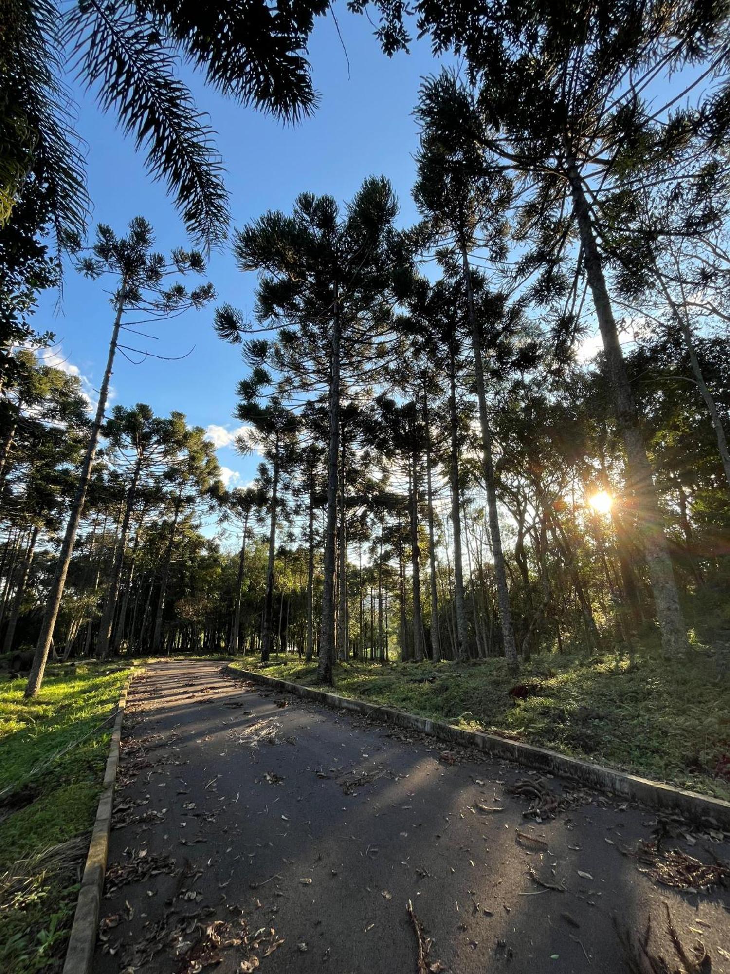 Ville Del Bosco Hotel Sao Marcos Bagian luar foto